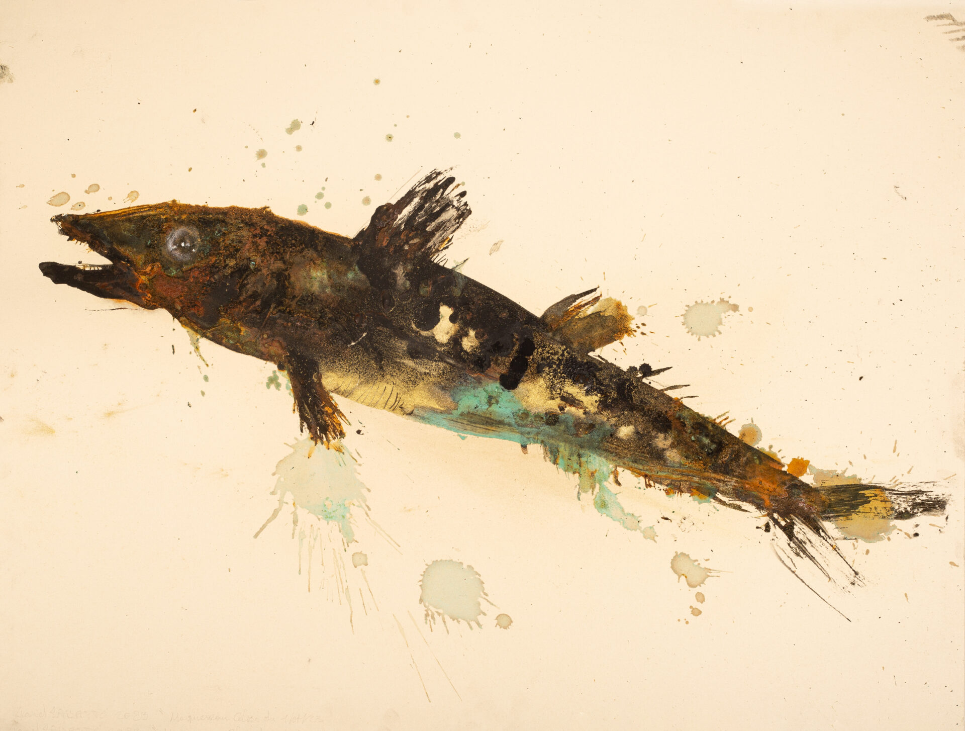 Meargot Fish Reptiles, amphibians & fish - Lionel Sabatté
